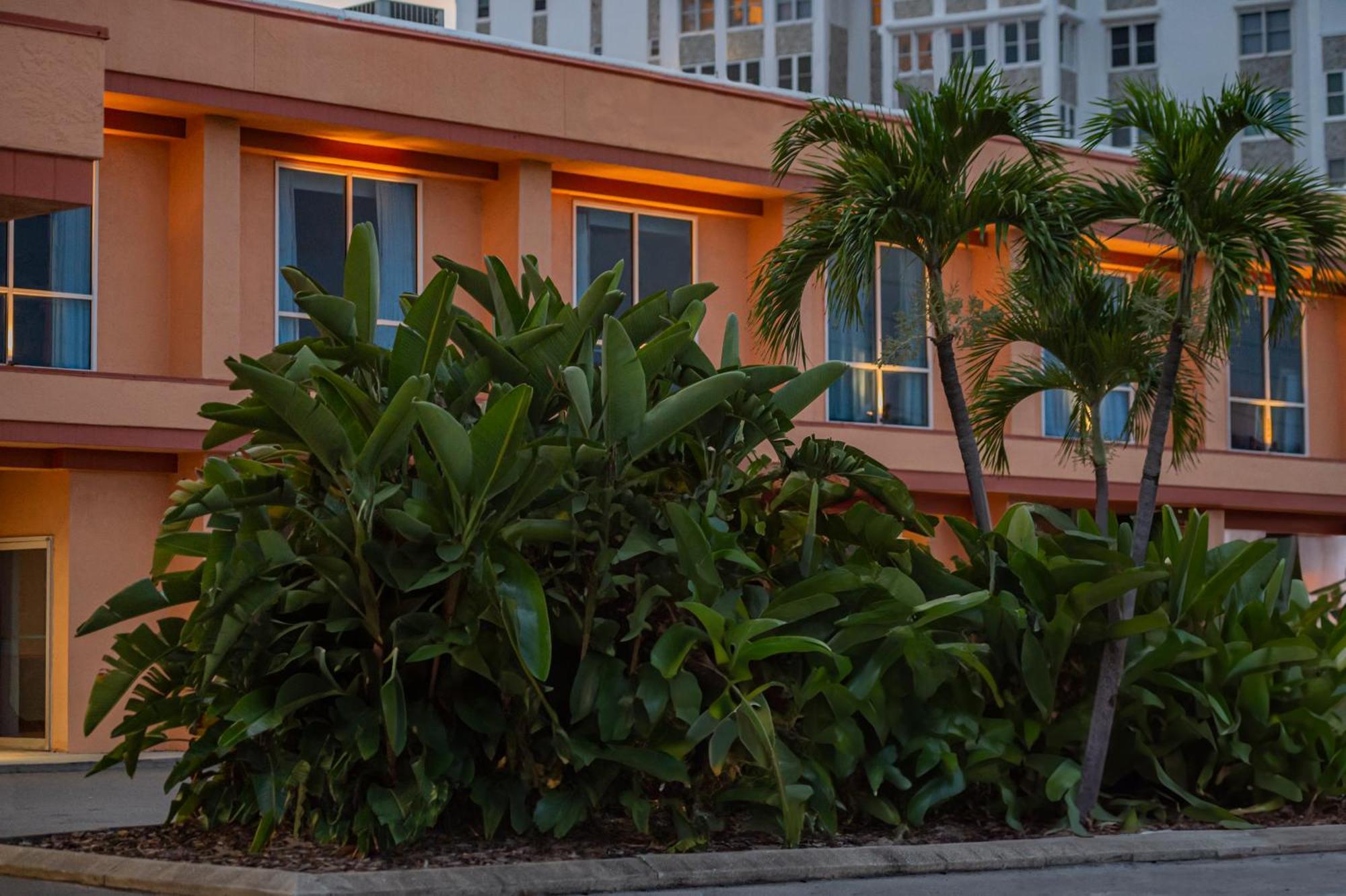 Dolphin Beach Resort St. Pete Beach Exteriör bild